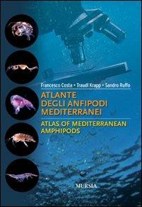 Atlante degli anfipodi mediterranei. Ediz. italiana e inglese - Francesco Costa (a), Sandro Ruffo, Traudl Krapp - Libro Mursia 2022 | Libraccio.it