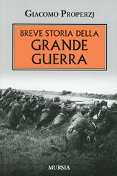 Breve storia della grande guerra