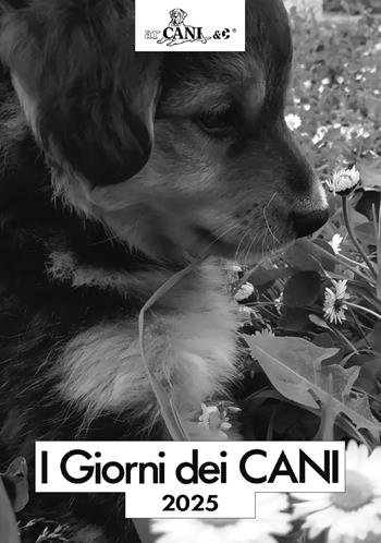 I giorni dei cani. Agenda 2025  - Libro Mursia 2024, Cani e arcani | Libraccio.it