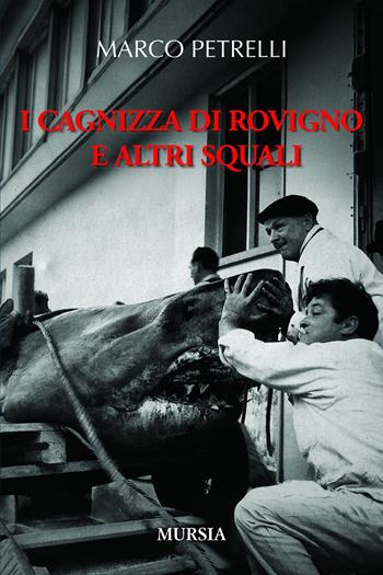 I cagnizza di Rovigno e altri squali - Marco Petrelli - Libro Mursia 2026, Biblioteca del mare. Immersioni e mondo sottomarino | Libraccio.it