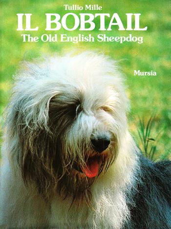Il bobtail. The old English sheepdog - Tullio Mille - Libro Mursia 2022, Le grandi razze | Libraccio.it