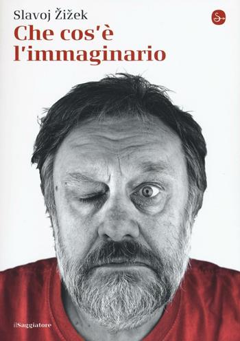 Che cos'è l'immaginario - Slavoj Zizek - Libro Il Saggiatore 2016, La piccola cultura | Libraccio.it