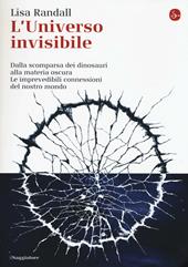 L' universo invisibile. Dalla scomparsa dei dinosauri alla materia oscura. Le imprevedibili connessioni del nostro mondo