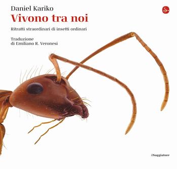 Vivono tra noi. Ritratti straordinari di insetti ordinari. Ediz. a colori - Daniel Kariko - Libro Il Saggiatore 2020, La cultura | Libraccio.it