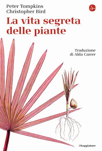 La vita segreta delle piante - Peter Tompkins, Christopher Bird - Libro Il Saggiatore 2020, La cultura | Libraccio.it