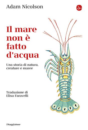 Il mare non è fatto d'acqua. Una storia di natura, creature e maree - Nicolson Adam - Libro Il Saggiatore 2026, La cultura | Libraccio.it