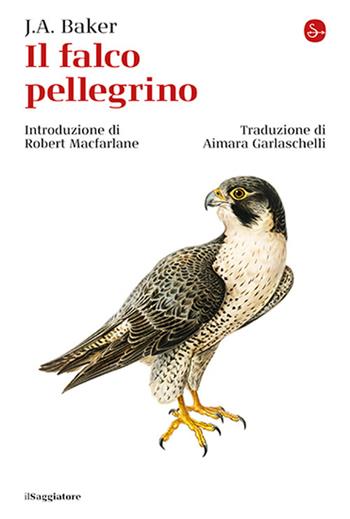Il falco pellegrino - John Alec Baker - Libro Il Saggiatore 2025, La cultura | Libraccio.it