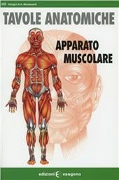 Apparato muscolare. Tavole anatomiche