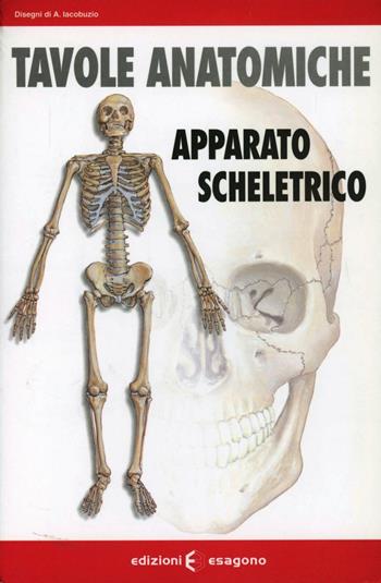 Tavole anatomiche. Apparato scheletrico - Andrea Iacobuzio - Libro Esagono 2000 | Libraccio.it