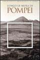 Lungo le mura di Pompei. L'antica città nel suo ambiente naturale. Ediz. illustrata - Annamaria Ciarallo, Ernesto De Carolis - Libro Mondadori Electa 2000, Soprint. archeologica di Pompei | Libraccio.it