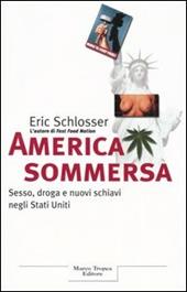 America sommersa. Sesso, droga e nuovi schiavi negli Stati Uniti