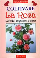 Coltivare la rosa. Varietà, impianto e cura
