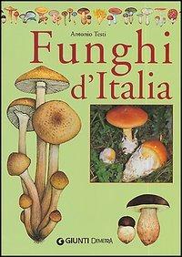 Il libro dei funghi d'Italia - Antonio Testi - Libro Demetra 2000, Grandi libri | Libraccio.it