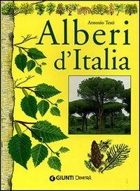 Alberi d'Italia - Antonio Testi - Libro Demetra 2003, Varia Demetra | Libraccio.it