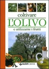 Coltivare l'olivo e utilizzarne i frutti