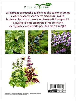 Piante aromatiche e medicinali in giardino e in vaso  - Libro Demetra 2010, Pollice verde | Libraccio.it
