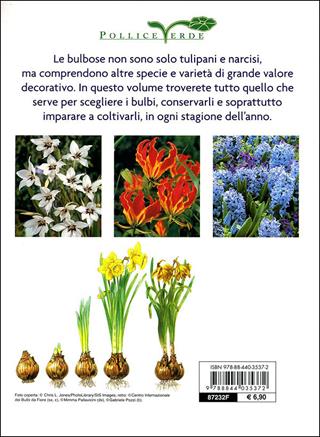Bulbose. Varietà, fioritura e cure colturali - Mimma Pallavicini - Libro Demetra 2010, Pollice verde | Libraccio.it
