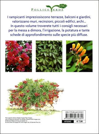 Rampicanti. Cure colturali, generi e specie  - Libro Demetra 2010, Pollice verde | Libraccio.it