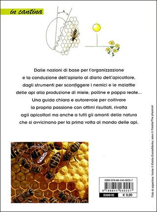 Il libro del miele. Dall'alveare al raccolto - Gianni Ravazzi - Libro Demetra 2011, In cantina | Libraccio.it