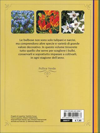 Bulbose. Varietà, fioritura e cure colturali - Mimma Pallavicini - Libro Demetra 2013, Pollice verde | Libraccio.it