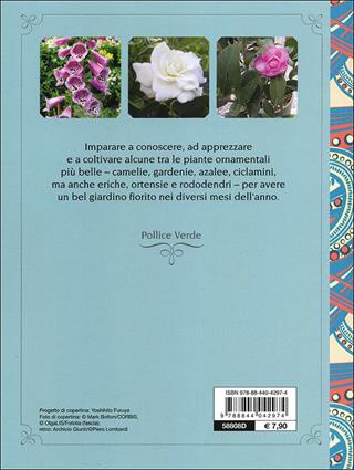 Ortensie, azalee, camelie e altre acidofile - Piero Lombardi - Libro Demetra 2013, Pollice verde | Libraccio.it