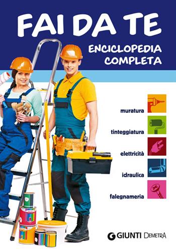 Fai da te. Enciclopedia completa. Muratura, tinteggiatura, elettricità, idraulica, falegnameria  - Libro Demetra 2014, Bricolage e fai da te | Libraccio.it