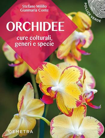Orchidee. Cure colturali, generi e specie - Stefano Milillo, Gianmaria Conte - Libro Demetra 2017, Pollice verde | Libraccio.it