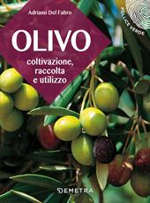 L' olivo. Coltivazione, raccolta e utilizzo