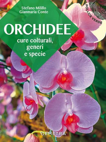 Orchidee. Cure colturali, generi e specie - Stefano Milillo, Gianmaria Conte - Libro Demetra 2018, Pollice verde | Libraccio.it