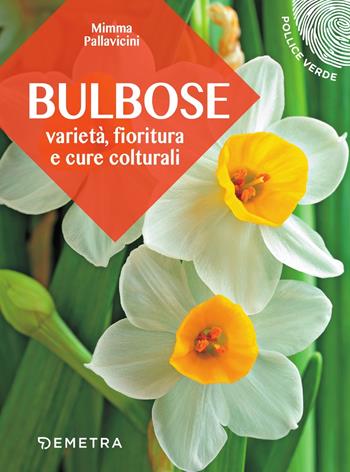 Bulbose. Varietà, fioritura e cure colturali - Mimma Pallavicini - Libro Demetra 2018, Pollice verde | Libraccio.it
