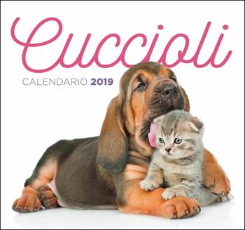 Cuccioli. Calendario 2019  - Libro Demetra 2018 | Libraccio.it