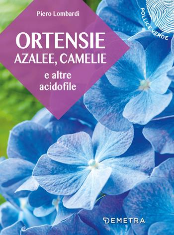 Ortensie, azalee, camelie e altre acidofile - Piero Lombardi - Libro Demetra 2019, Pollice verde | Libraccio.it