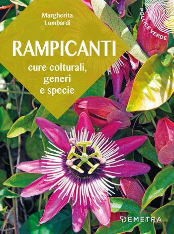 Rampicanti. Cure colturali, generi e specie - Margherita Lombardi - Libro Demetra 2019, Pollice verde | Libraccio.it
