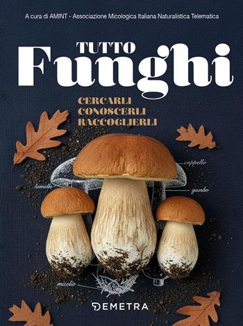 Tutto funghi. Cercarli conoscerli raccoglierli  - Libro Demetra 2026, Hobby | Libraccio.it