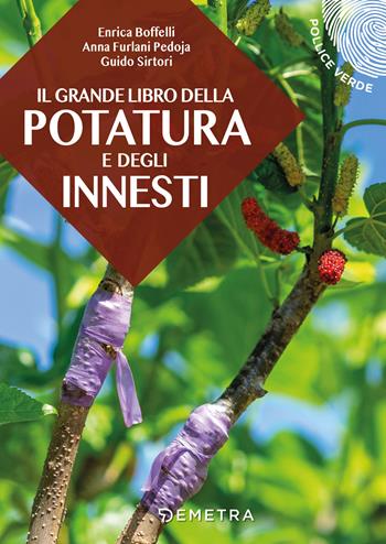 Il grande libro della potatura e degli innesti - Enrica Boffelli, Anna Furlani Pedoja, Guido Sirtori - Libro Demetra 2022, Pollice verde | Libraccio.it