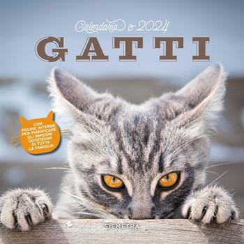 Calendario gatti 2024 da parete (30 x 30 cm). Ediz. illustrata  - Libro Demetra 2023 | Libraccio.it