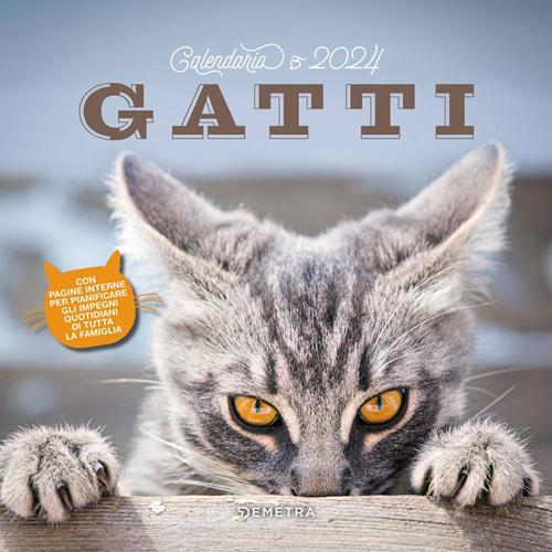 Calendario gatti 2024 da parete (30 x 30 cm). Ediz. illustrata - Libro  Demetra 2023