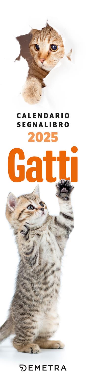 Gatti curiosi. Calendario segnalibro 2025 (5,5 x 24,5 cm)  - Libro Demetra 2024 | Libraccio.it