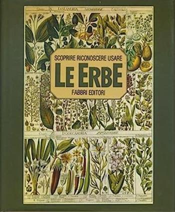 Scoprire, riconoscere e usare le erbe  - Libro Fabbri, Grandi manuali | Libraccio.it