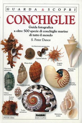 Conchiglie - Peter Dance - Libro Fabbri 1993, Guarda e scopri | Libraccio.it
