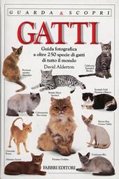 I gatti