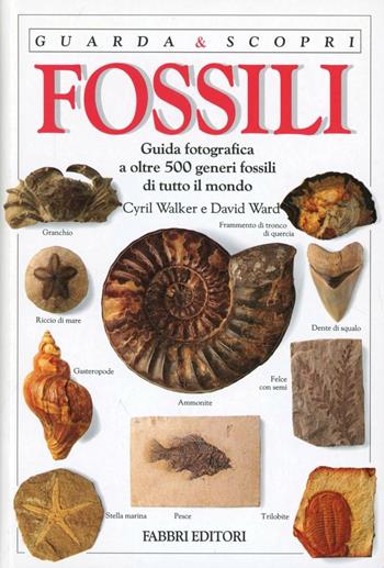 Fossili - Cyril Walker, David Ward - Libro Fabbri 1993, Guarda e scopri | Libraccio.it