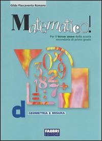 Matematico! Volume D. - Gilda Flaccavento Romano - Libro Fabbri 2004 | Libraccio.it