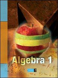 Algebra. Vol. 1 - Paolo Lazzarini, Giuseppe Sarnataro - Libro Rizzoli 2006 | Libraccio.it