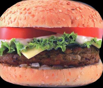 Hamburger & Co. Le migliori ricette - Jean-François Mallet - Libro Fabbri 2013, Cucina. Varia | Libraccio.it