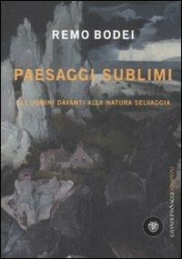 Paesaggi sublimi. Gli uomini davanti alla natura selvaggia - Remo Bodei - Libro Bompiani 2008, I grandi pasSaggi Bompiani | Libraccio.it