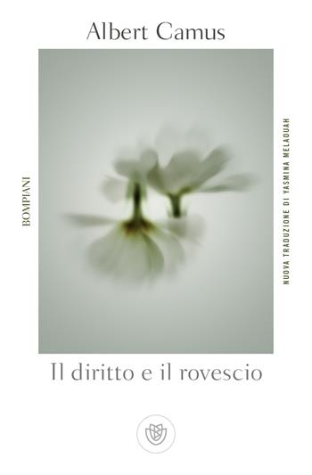 Il diritto e il rovescio - Albert Camus - Libro Bompiani 2018, Tascabili narrativa | Libraccio.it