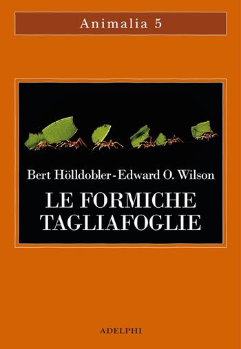 Le formiche tagliafoglie. La conquista della civiltà attraverso l'istinto - Bert Hölldobler - Libro Adelphi 2020, Animalia | Libraccio.it