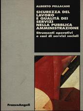 Sicurezza del lavoro e qualità dei servizi nella pubblica amministrazione. Strumenti operativi e casi di servizi sociali