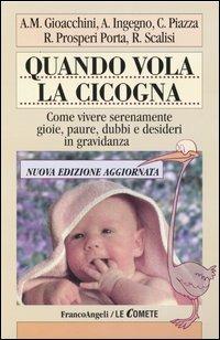 Quando vola la cicogna. Come vivere serenamente gioie, paure, dubbi e desideri in gravidanza  - Libro Franco Angeli 2005, Le comete | Libraccio.it
